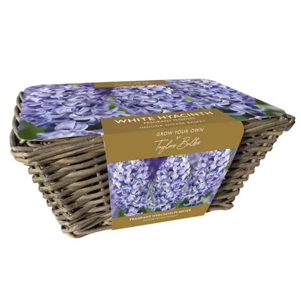 Large Wicker Basket Blue Hyacinth Planter