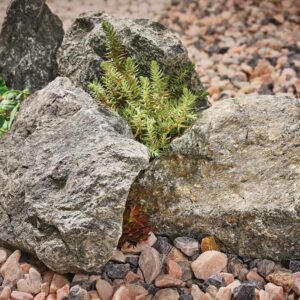 Altico Rockery Stone - Fern Green Lifestyle