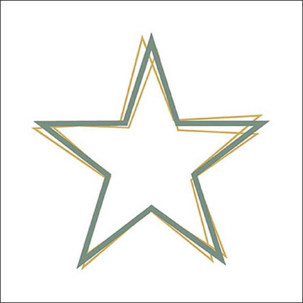 Ambiente Paper Napkins - Gold & Green Star Outline (Pack of 20)
