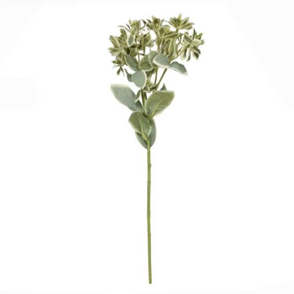 Euphorbia Spray (46cm)