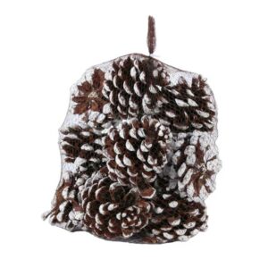 APAC White Tipped Pinecones (Pack of 12)