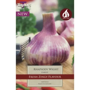 'Rhapsody Wight' Garlic