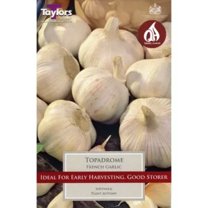 'Topadrome' French Garlic