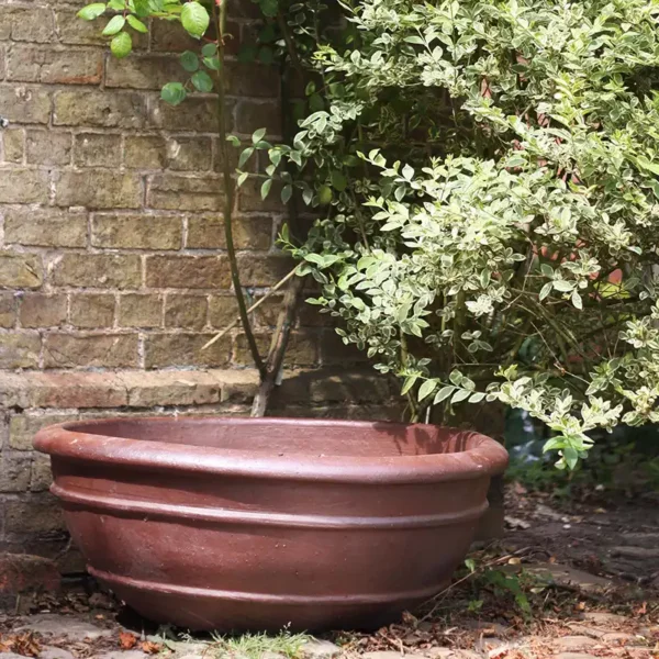 Azalea Bowl Rustic Terracotta Pot situ