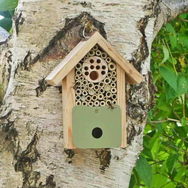 Bee Barn with Solitary Bees