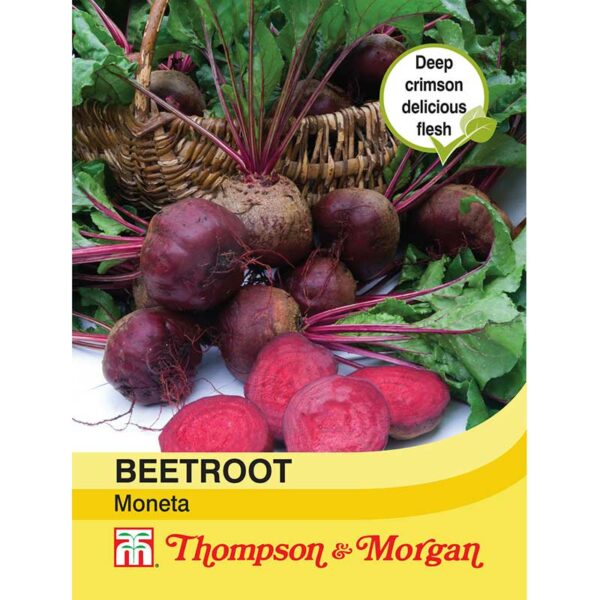 Beetroot Moneta Seeds