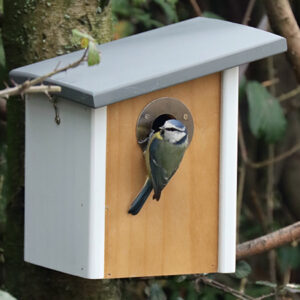 Birdhouses & Nest Boxes