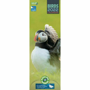 Otter House RSPB Birds Calendar 2022