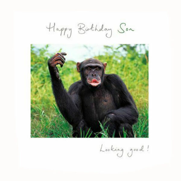 Woodmansterne Happy Birthday Son Monkey Birthday Card