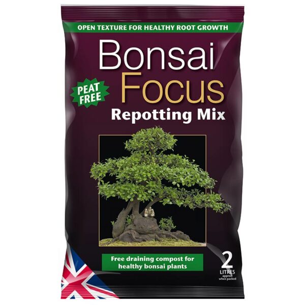 A 2 litre bag of Bonsai Focus Peat Free Repotting Mix. The bag is purple with a large image of a miniature bonsai.