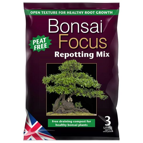 A 3 litre bag of Bonsai Focus Peat Free Repotting Mix. The bag is purple with a large image of a miniature bonsai.