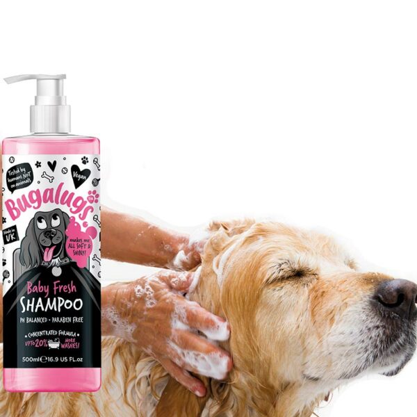 Bugalugs Baby Fresh Shampoo with dog