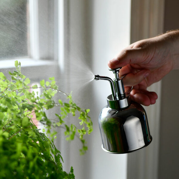 A Burgon & Ball Indoor Plant Mister in a stainless steel finish, spraying a plant.