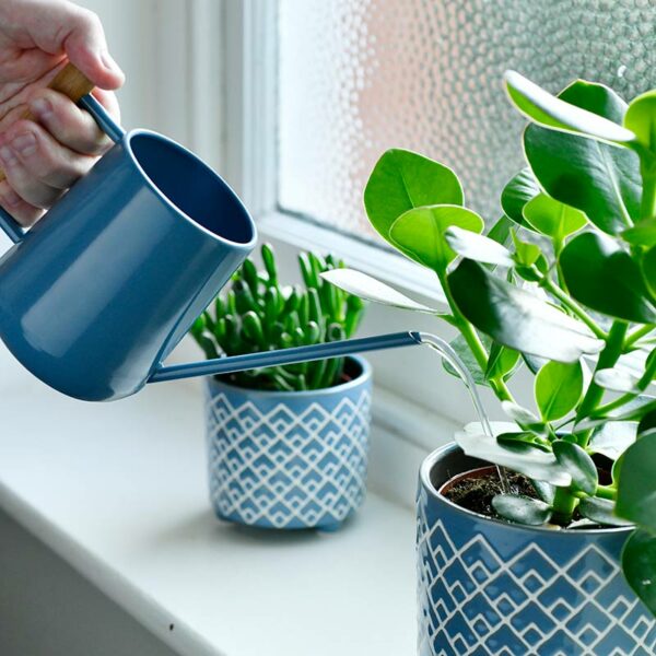The Burgon & Ball Indoor Watering Can in blue, pouring water into a blue plant pot.