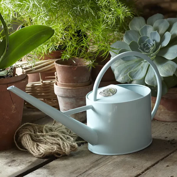 The Blue Burgon & Ball Sophie Conran Greenhouse & Indoor Watering Can placed on a wooden table next to pots.