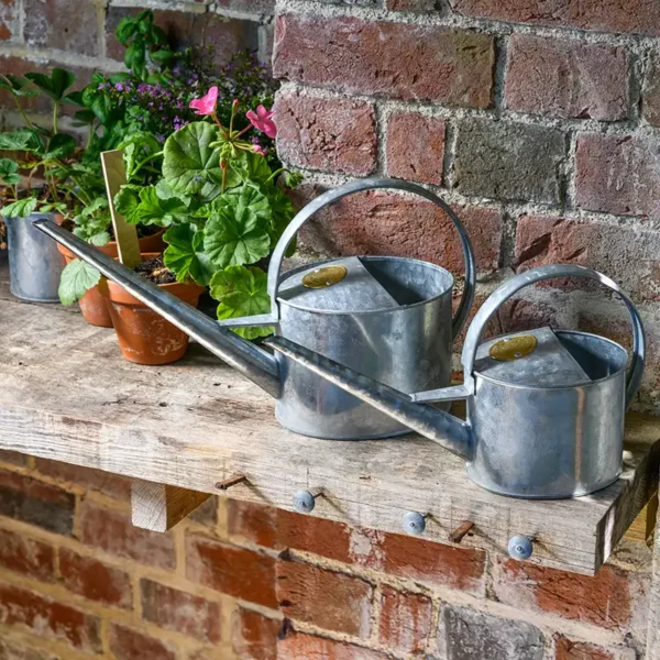 A pair of Galvanized Burgon & Ball Sophie Conran Greenhouse & Indoor Watering Cans, one in each size. The cans are next to each other on a shelf.