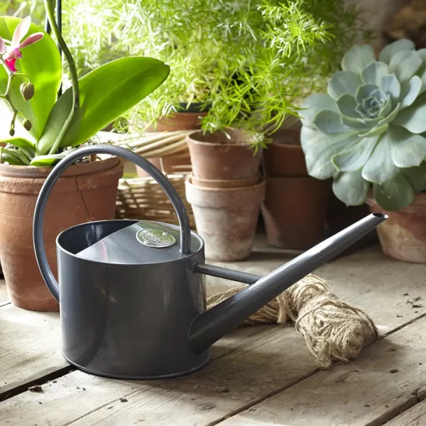The Grey Burgon & Ball Sophie Conran Greenhouse & Indoor Watering Can placed on a wooden table next to pots.