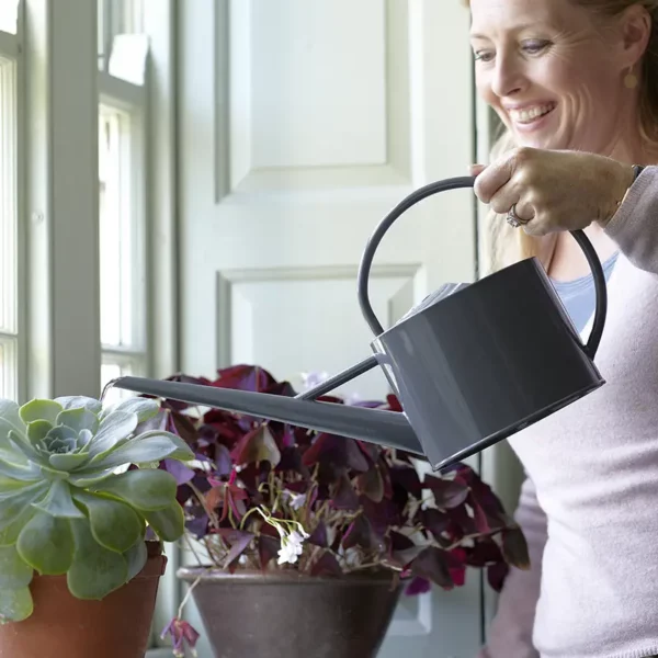 A woman watering her indoor pots using the Grey Burgon & Ball Sophie Conran Greenhouse & Indoor Watering Can.