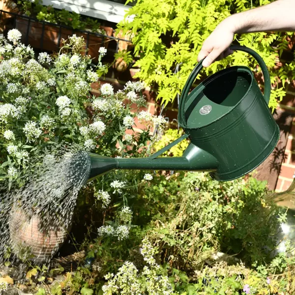 Watering the garden using the 9 litre Burgon & Ball Waterfall Watering Can in a British Racing Green colour.
