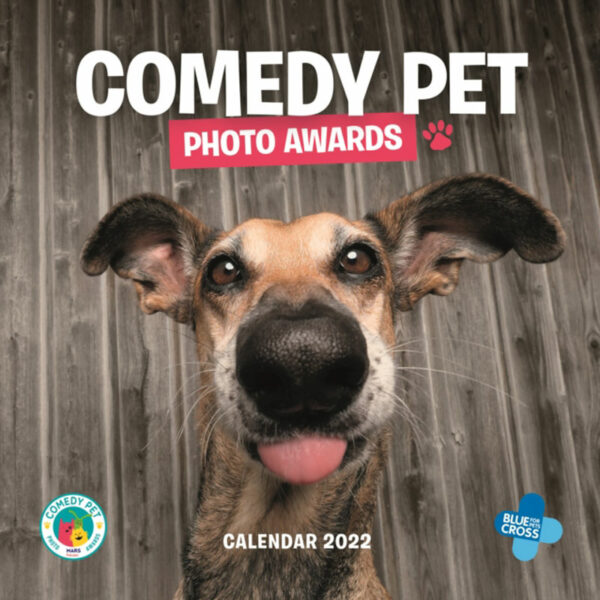 Otter House Comedy Pet Photo Awards Wall Calendar 2022
