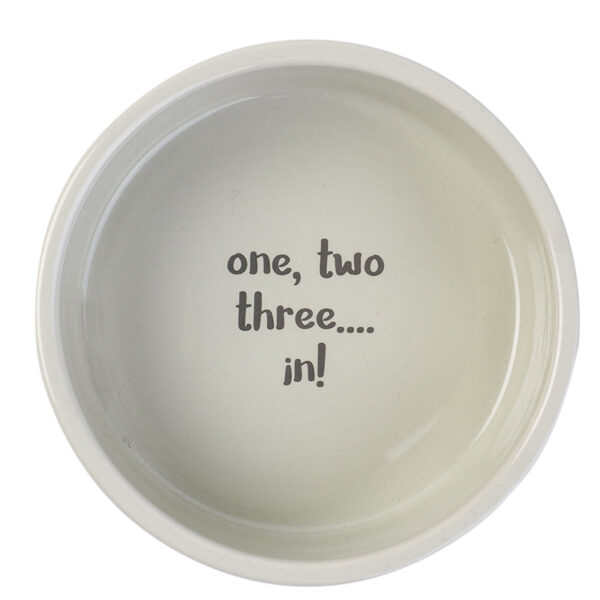 Counting sheep ceramic dog bowl one, two, three, in!