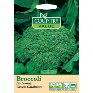 Country Value (Autumn) Green Calabrese Broccoli Seeds