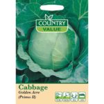 Country Value Golden Acre (Primo II) Cabbage Seeds