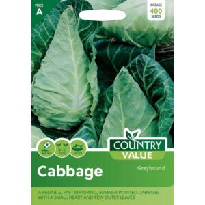 Country Value Greyhound Cabbage Seeds