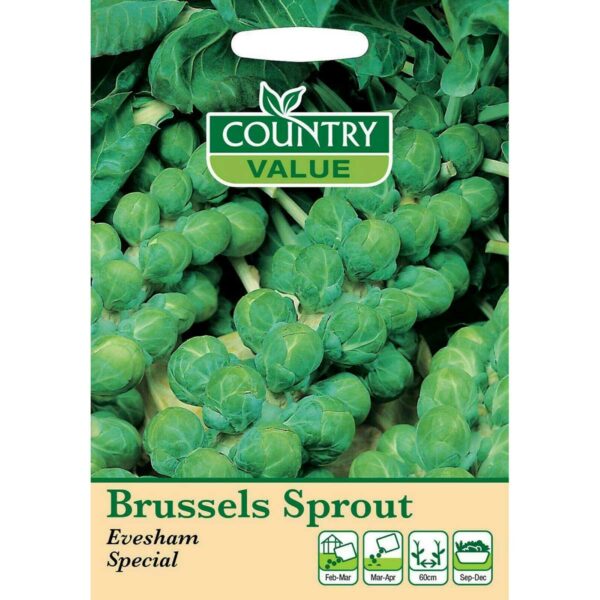 Country Value Evesham Special Brussels Sprout Seeds