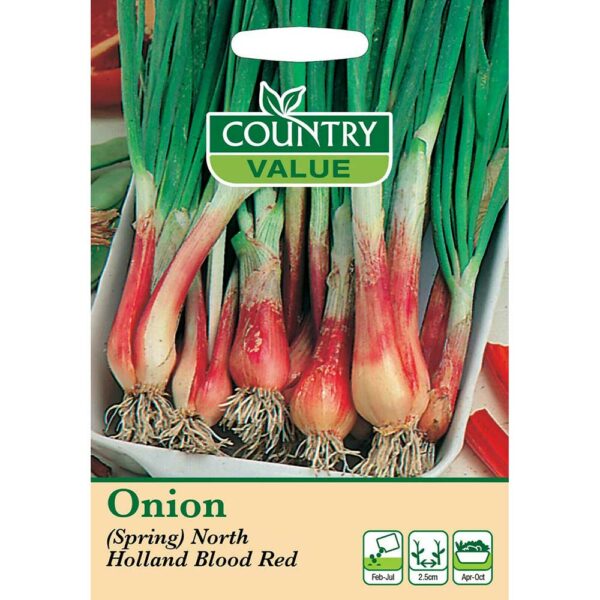 Country Value North Holland Blood Red Spring Onion Seeds Pack
