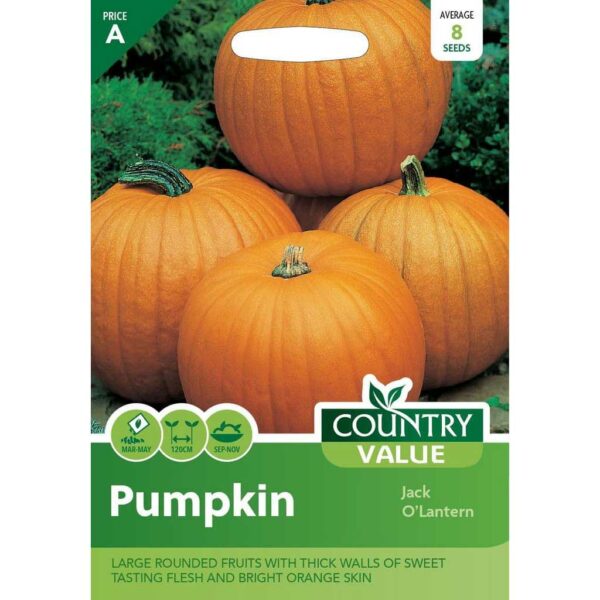 Country Value Jack O'Lantern Pumpkin Seeds