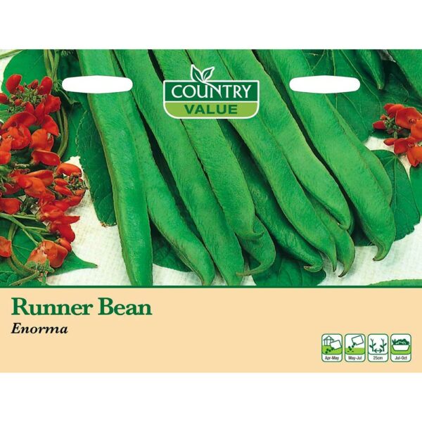 Country Value Enorma Runner Bean Seeds