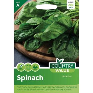Country Value America Spinach Seeds