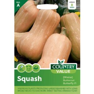 Country Value Butterfly F1 Winter Butternut Squash Seeds
