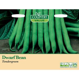 Country Value Tendergreen Dwarf Bean Seeds