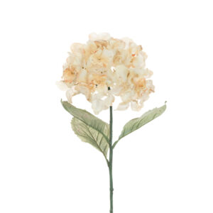 Floralsilk Antique Cream Hydrangea Stem (76cm)