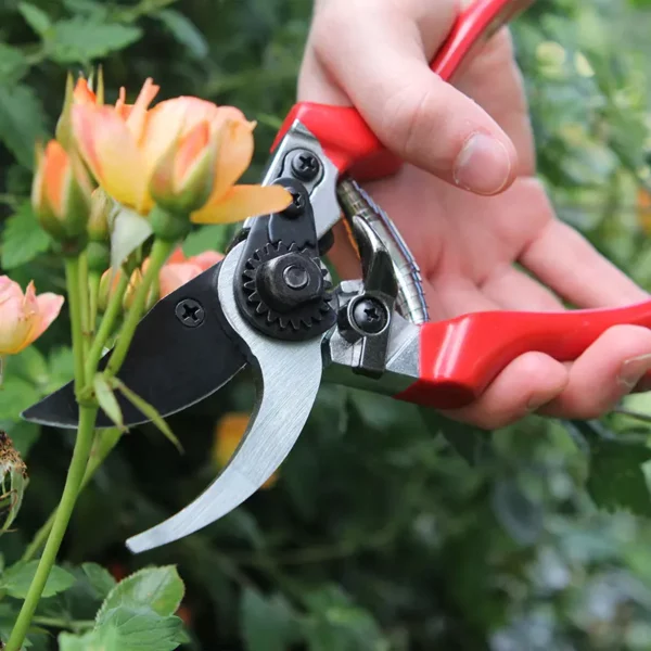 Darlac Bypass Professional Pruner lifestyle