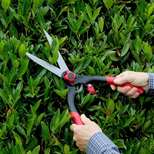A pair of Darlac Classic Shears being used to trim and shape a hedge.