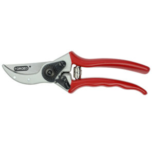 A red handled Darlac Expert Drop Forged Bypass Pruner. The secateurs include a large latch on the side to lock the blades.