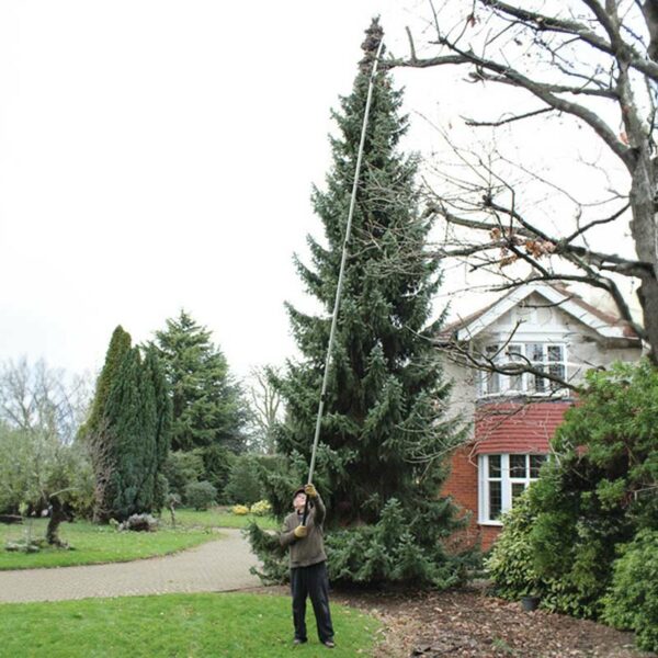 A man holing the fully extended Darlac tree Pruning Set to prune the top branches of a tree.