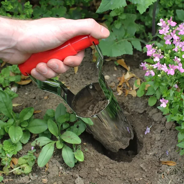A Darlac Hand Bulb Planter halfway in the soil pulling out a core of soil.