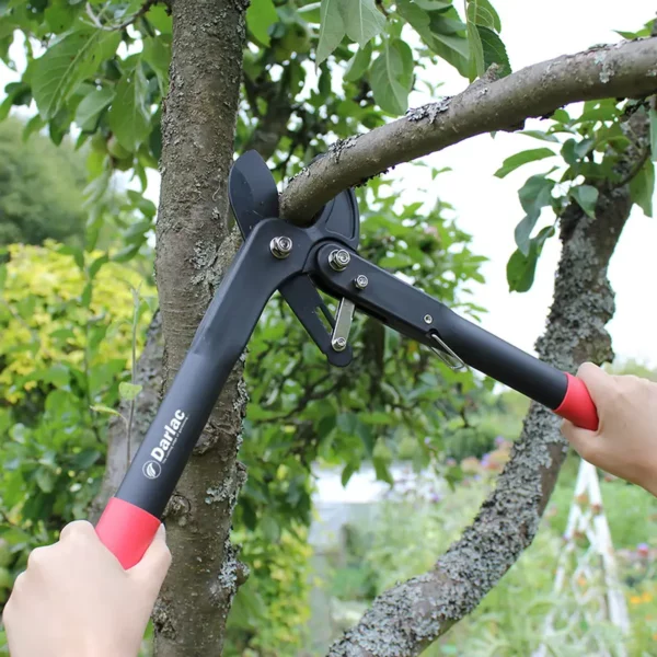 Darlac 'Handy' Ratchet Lopper cutting a branch