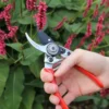 Darlac Small Bypass Pruner lifestyle
