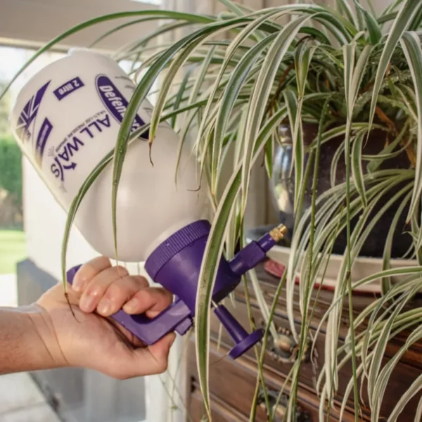 Defenders All Ways Multi-Use Pressure Sprayer (2 Litre) spraying an indoor plant upside down