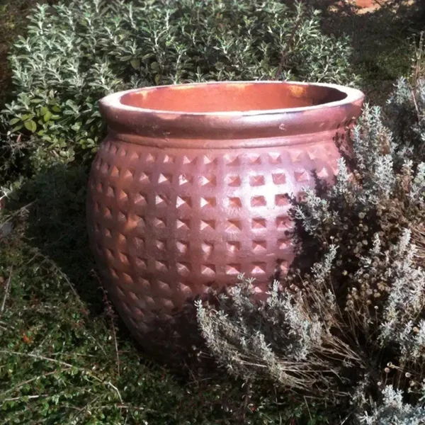 Dimpled Vase Terracotta Pot situ