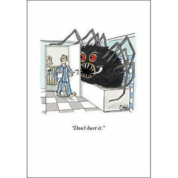 Woodmansterne Spider In The Bathroom Card