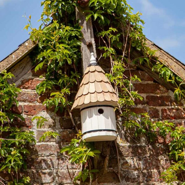 Dovecote Nest Box at side of house