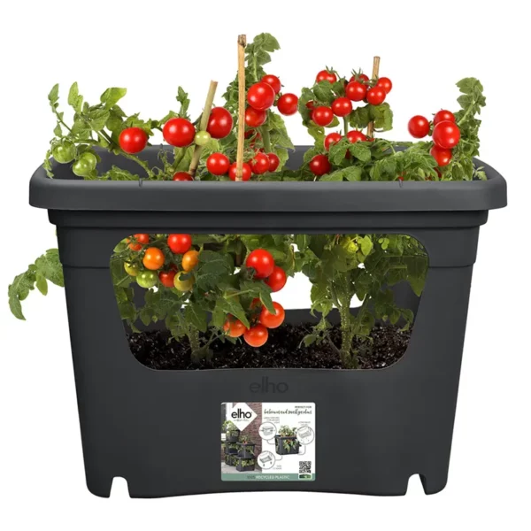 Elho Green Basics Stack & Grow Black tomatoes