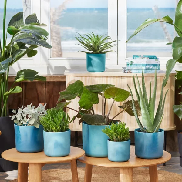 A set of five assorted elho Ocean Collection Atlantic Blue Pots