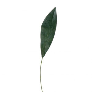 Dark Green Aspidistra Leaf (75cm)